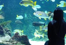 aquarium de La Rochelle à proximité du Camping Val de boutonne 3 étoiles de Saint Jean d'Angély
