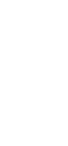 design tak bladeren wit