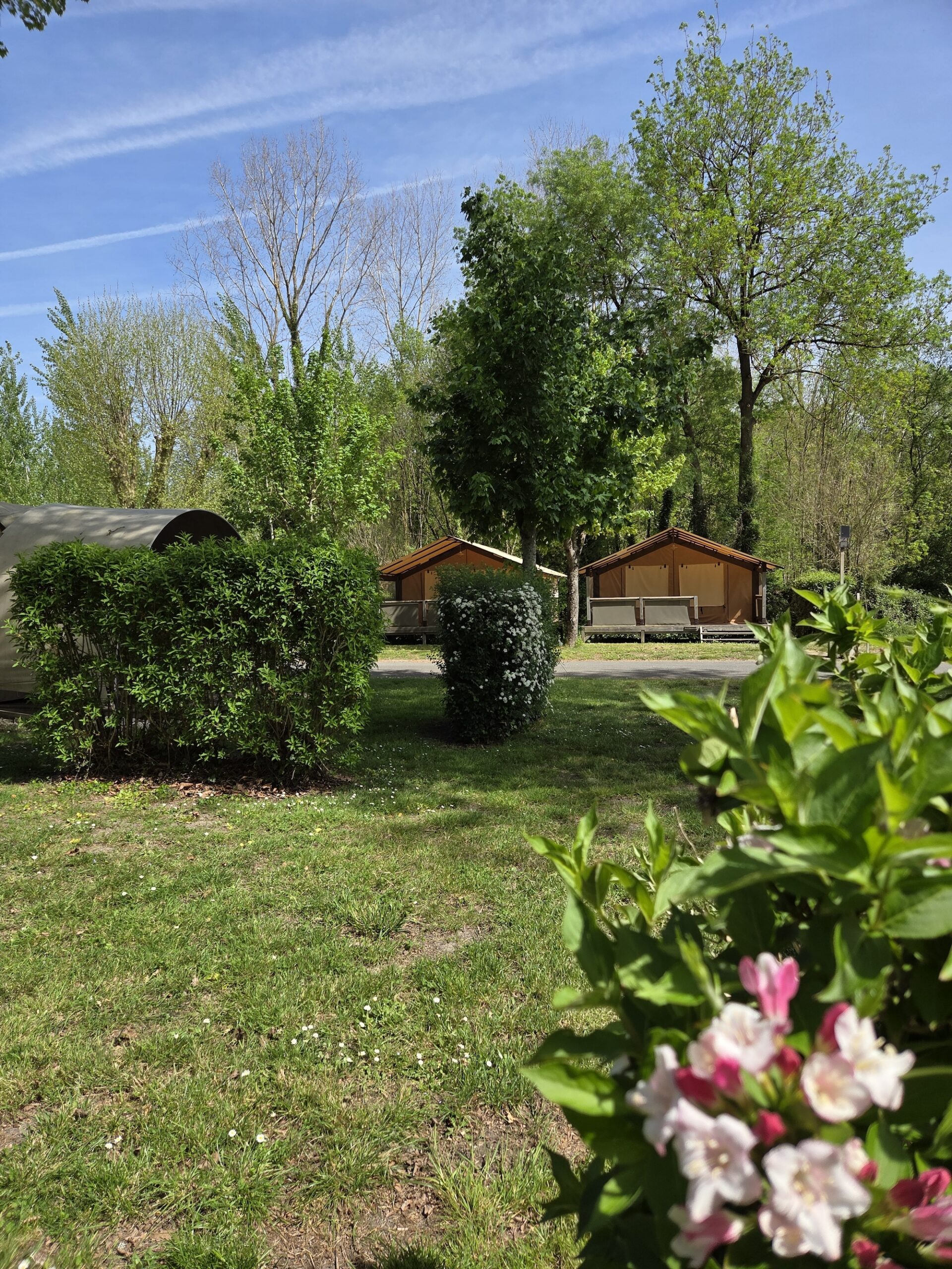 Staanplaatsen + lodges