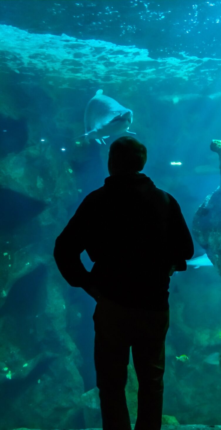 aquarium la rochelle