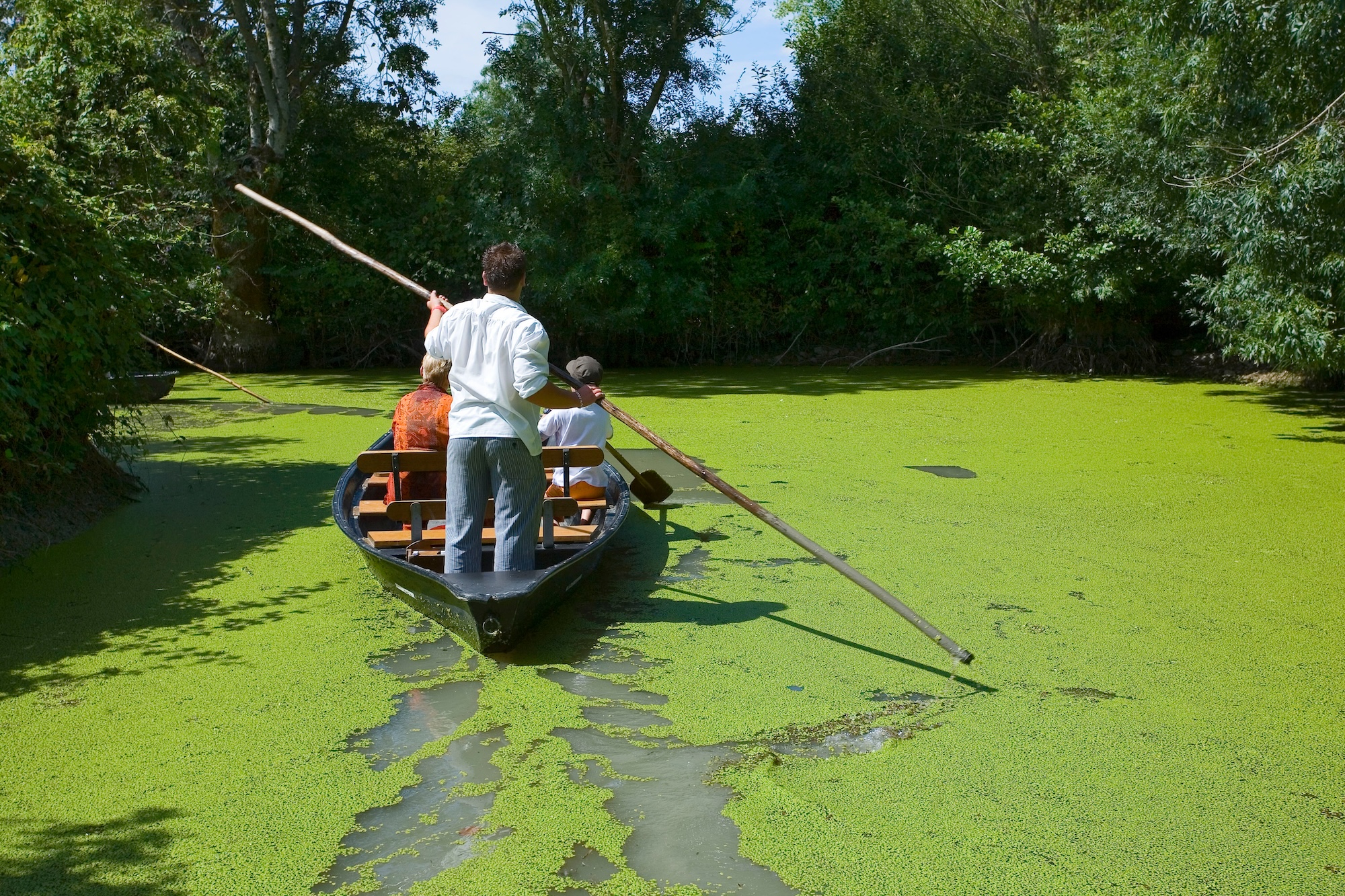 batelier marais poitevin