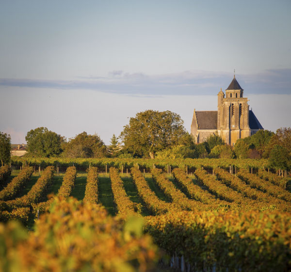 camping en charente maritime cognac