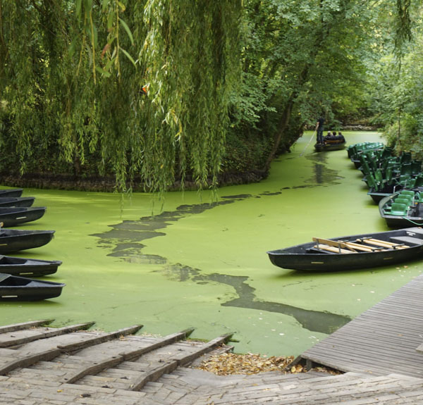 camping en charente maritime marais poitevin