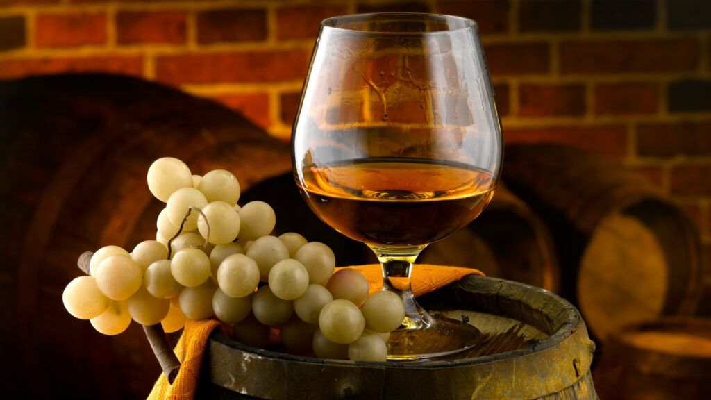 cognac camping charente maritime