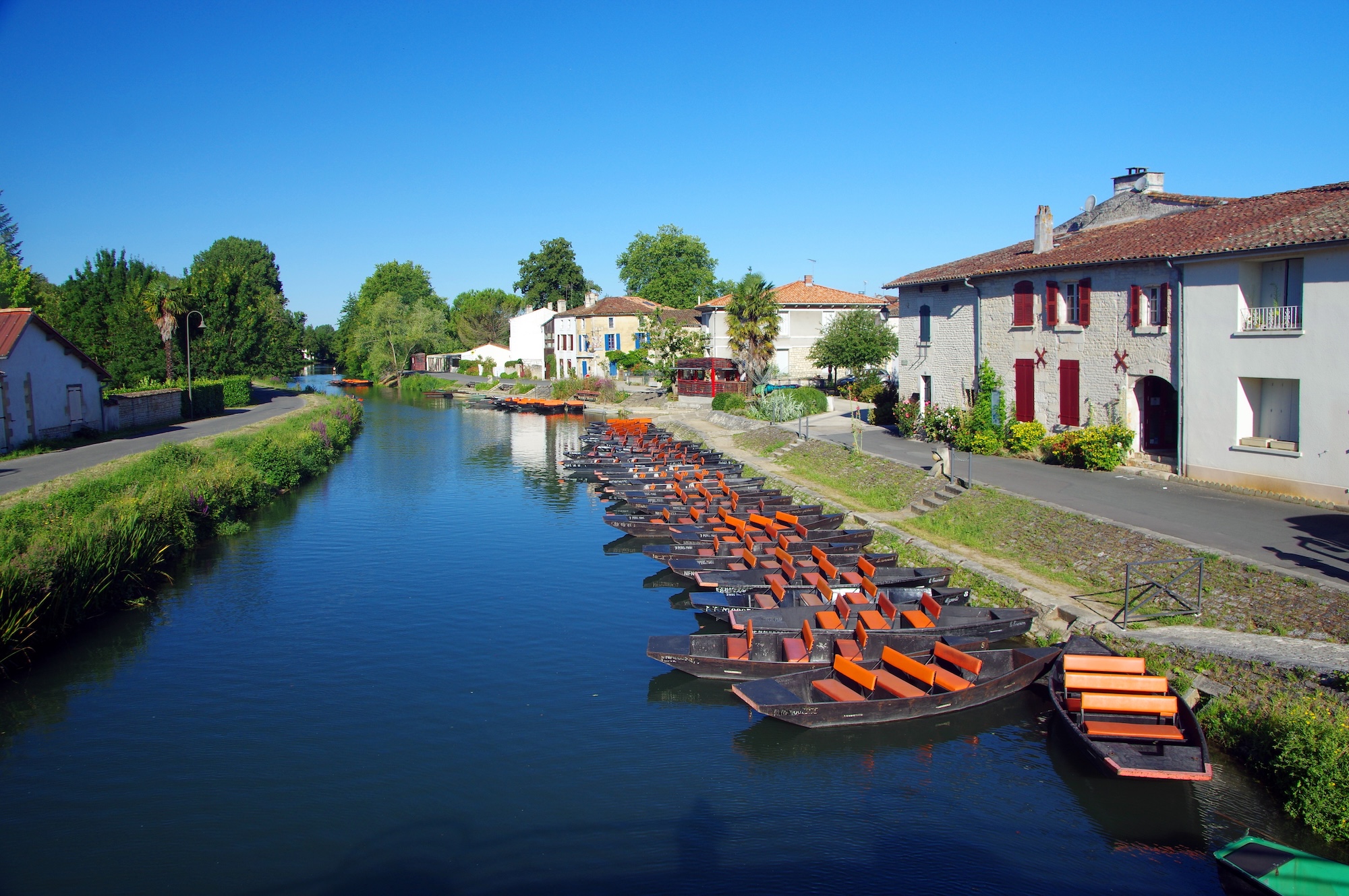 coulon marais poitevin